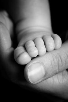 Baby Foot