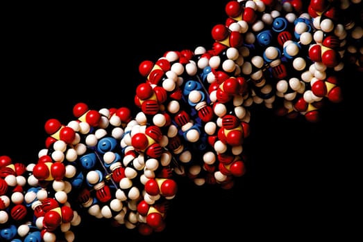 DNA Molecules 2