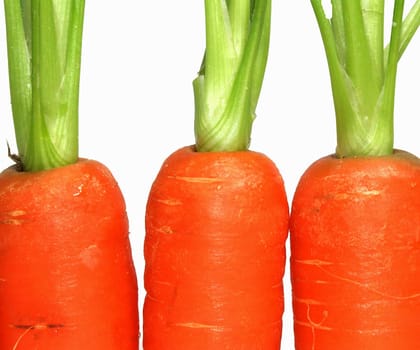 Carrots