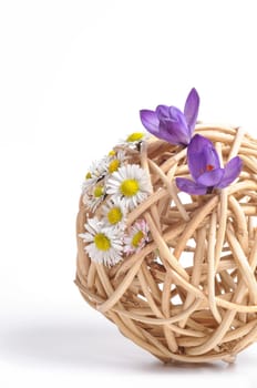 Spring Awakening
