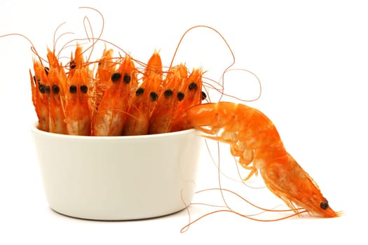 Shrimp escape