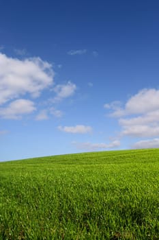 The green hill