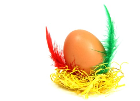 Measter egg