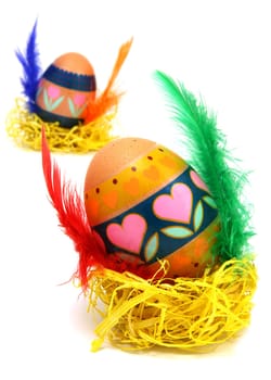 Measter egg