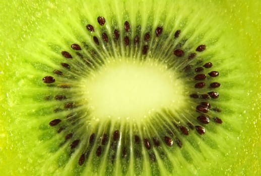 Kiwi slice