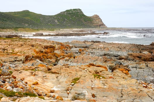 Landscape at the Cape of Good Hope