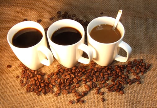 Coffee