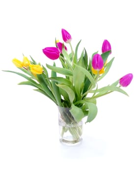 Bouquet of tulips