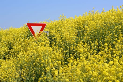 Stop gmo