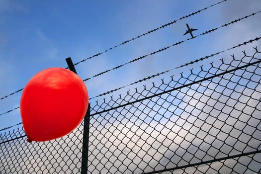 Barbed freedom