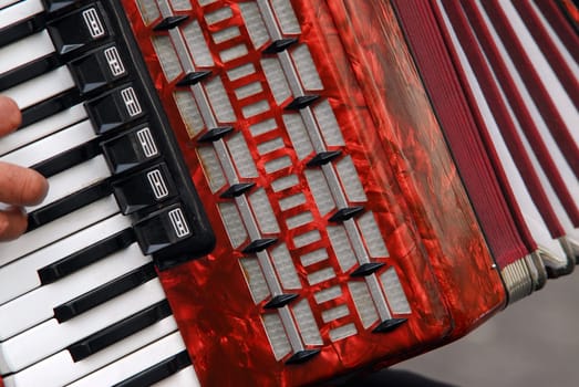 Accordion