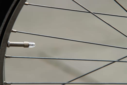 Bicycle valve