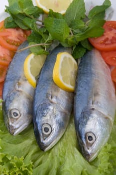 Fish platter