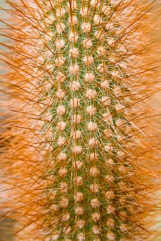 Prickles