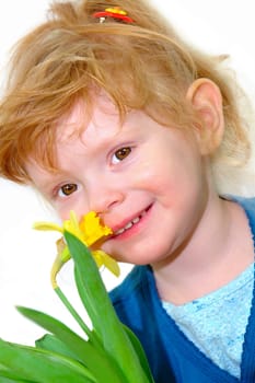 Little girl smells daffodil