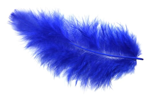 Blue feather