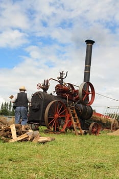 Vintage harvest