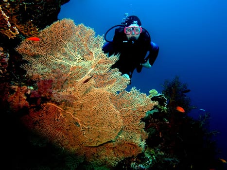 Female Diver in Coral Reef