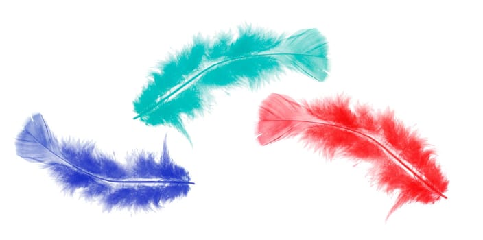 Three Feathers