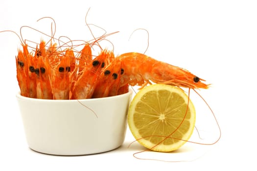 Shrimp escape