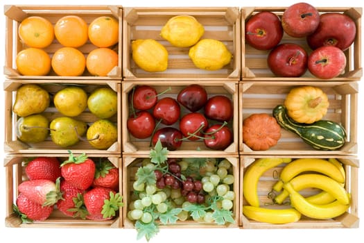 False Fruits