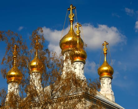 Russian Orthodox Church Geneva,Switzerland