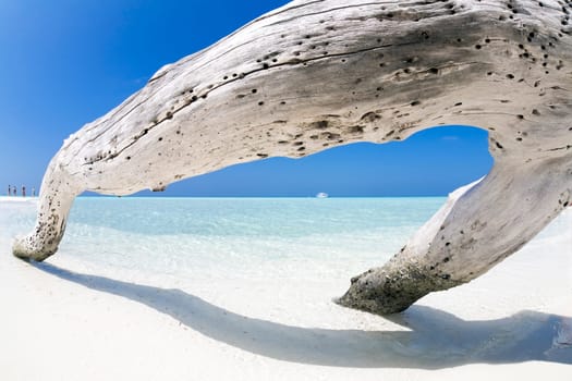 tropical beach