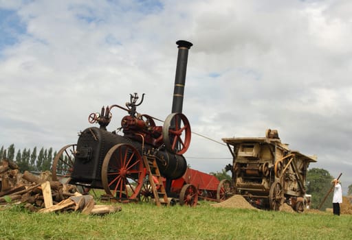 Vintage harvest