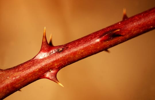 Mandrels