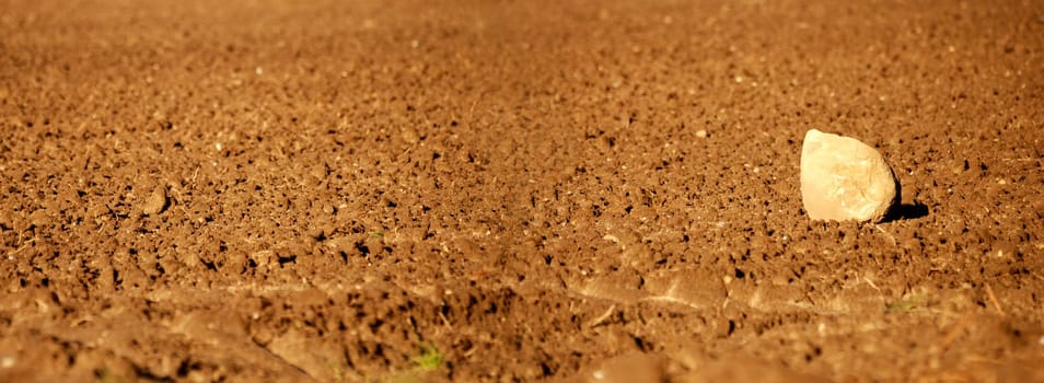 Stone on field