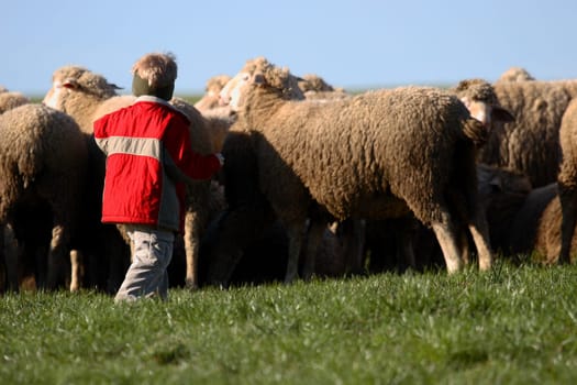 Love of animals