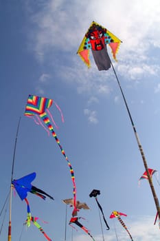 kites flying in the sky