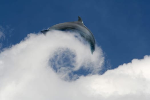 Cloud Rider
