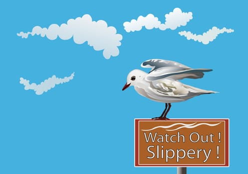 Careless Seagull