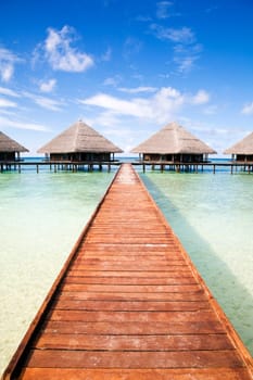 tropical beach