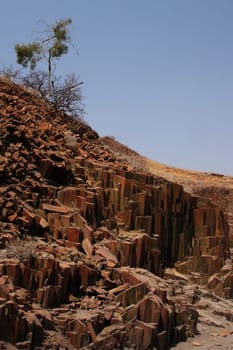Organ Pipes