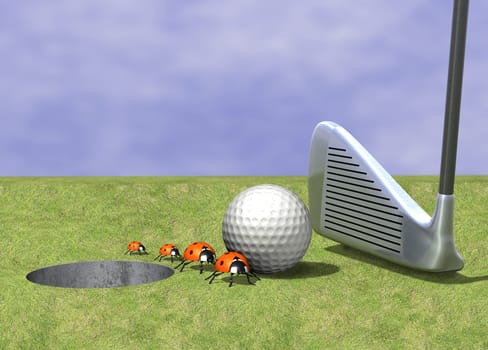 Golf ball and ladybug
