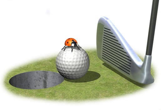Golf ball in front of hole with ladybug