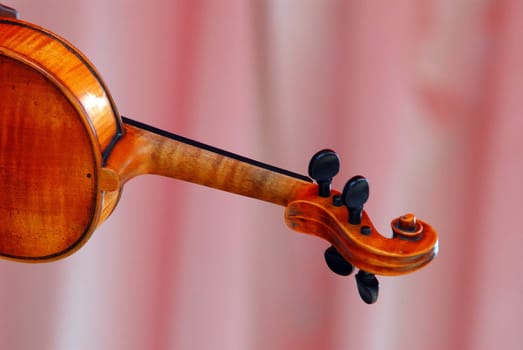 Violin back view