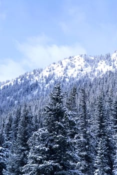 Winter mountain