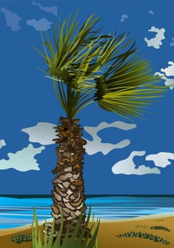 Palm tree in the wind