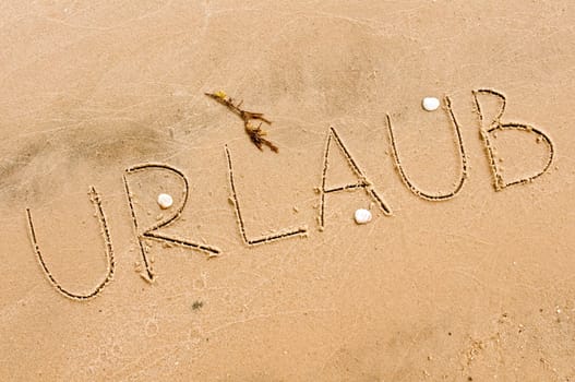 Holiday