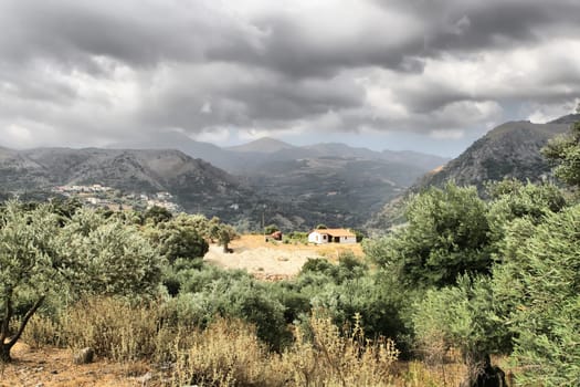 Village