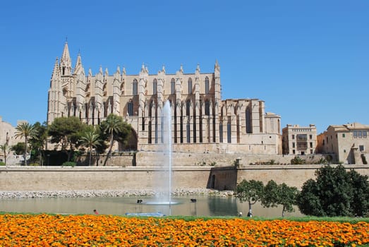 Cathedral de La Seu 536
