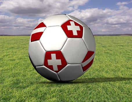 ÊM football on grass