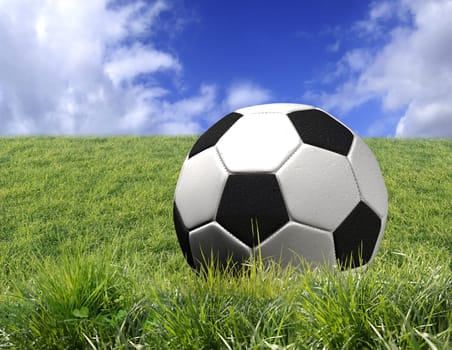 Soccer ball on grass