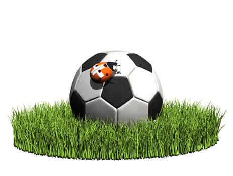 Ladybug on soccer ball