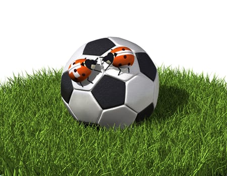 Ladybug on soccer ball
