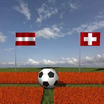 European Football Championship 2008,Swiss turf