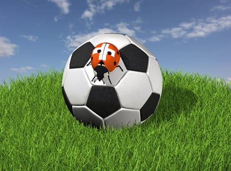 Soccer ball on grass with ladybug